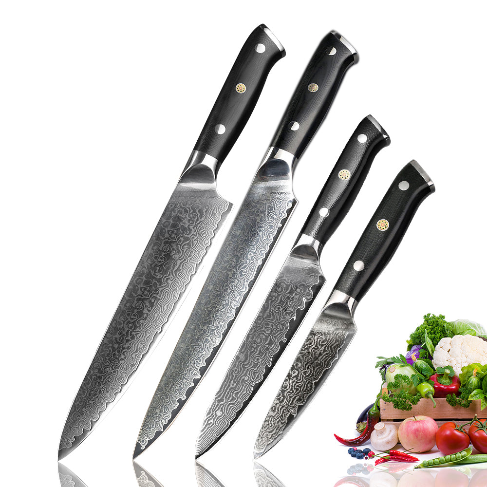 Juego de cuchillos de cocina de acero de Damasco de 4 piezas y 67 capas