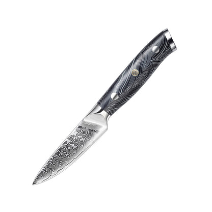 3.5-Inch Paring Knife, Damascus Steel, G10, DP1104